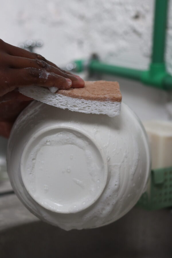 Cellulose dish sponge