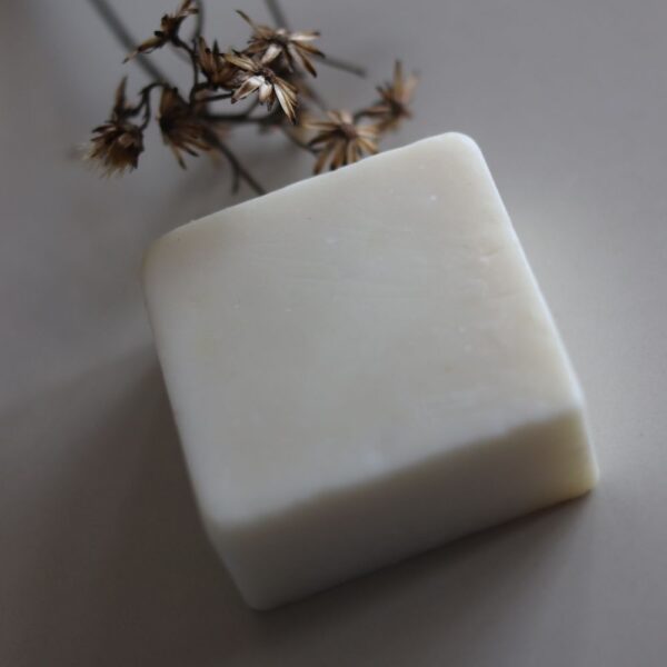 Olive Castile Body Bar