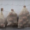 Sukuma Bag